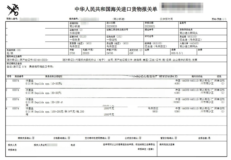 马来西亚冷冻墨鱼进口报关广州南沙港案例
